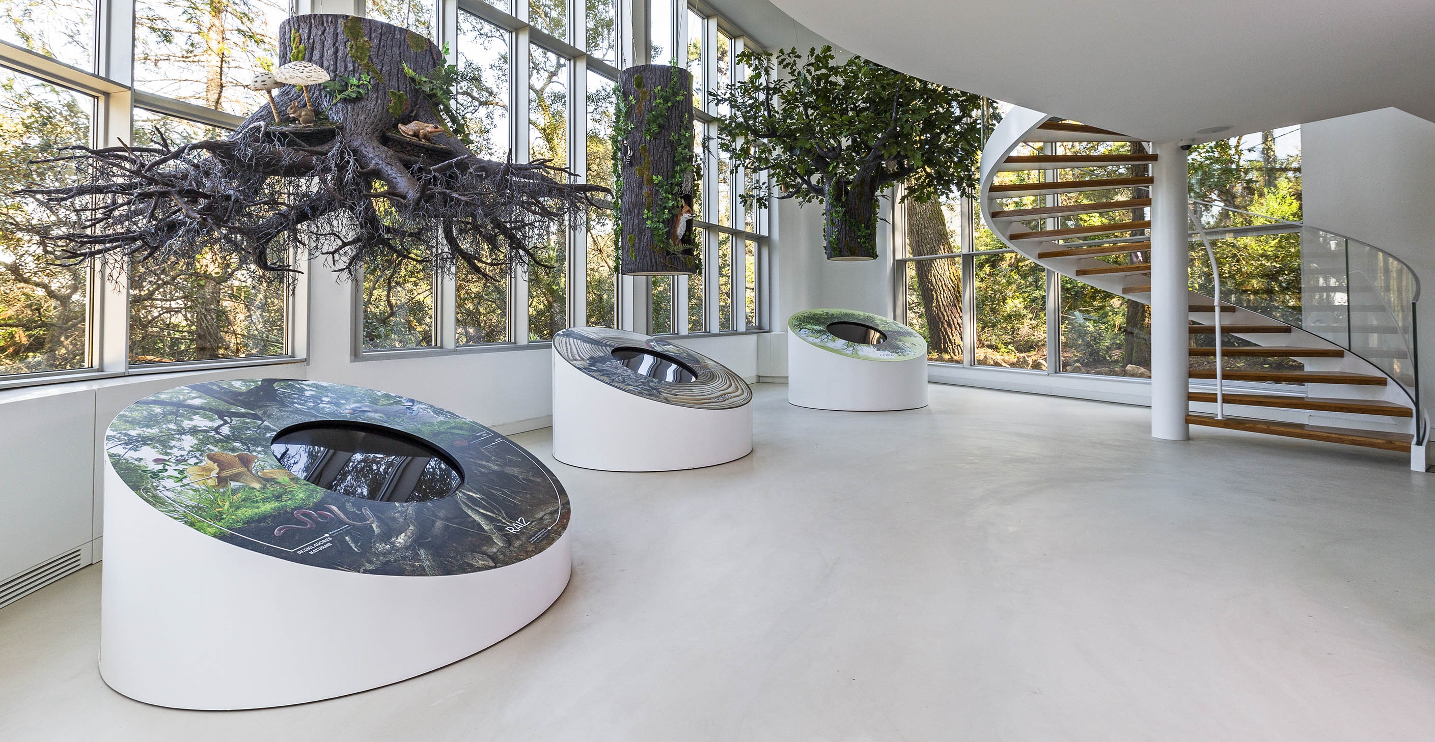 Visita guiada ao Centro de Interpretação da Natureza