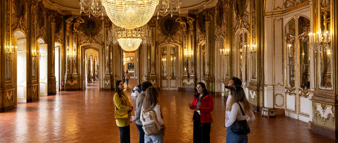 Guided Tour of the Gardens and Natio. Palace of Queluz