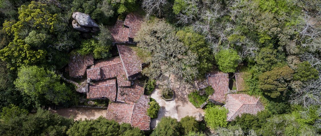 A Mata relíquia do Convento dos Capuchos