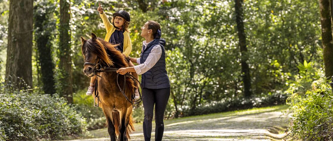 Horse and Pony Rides