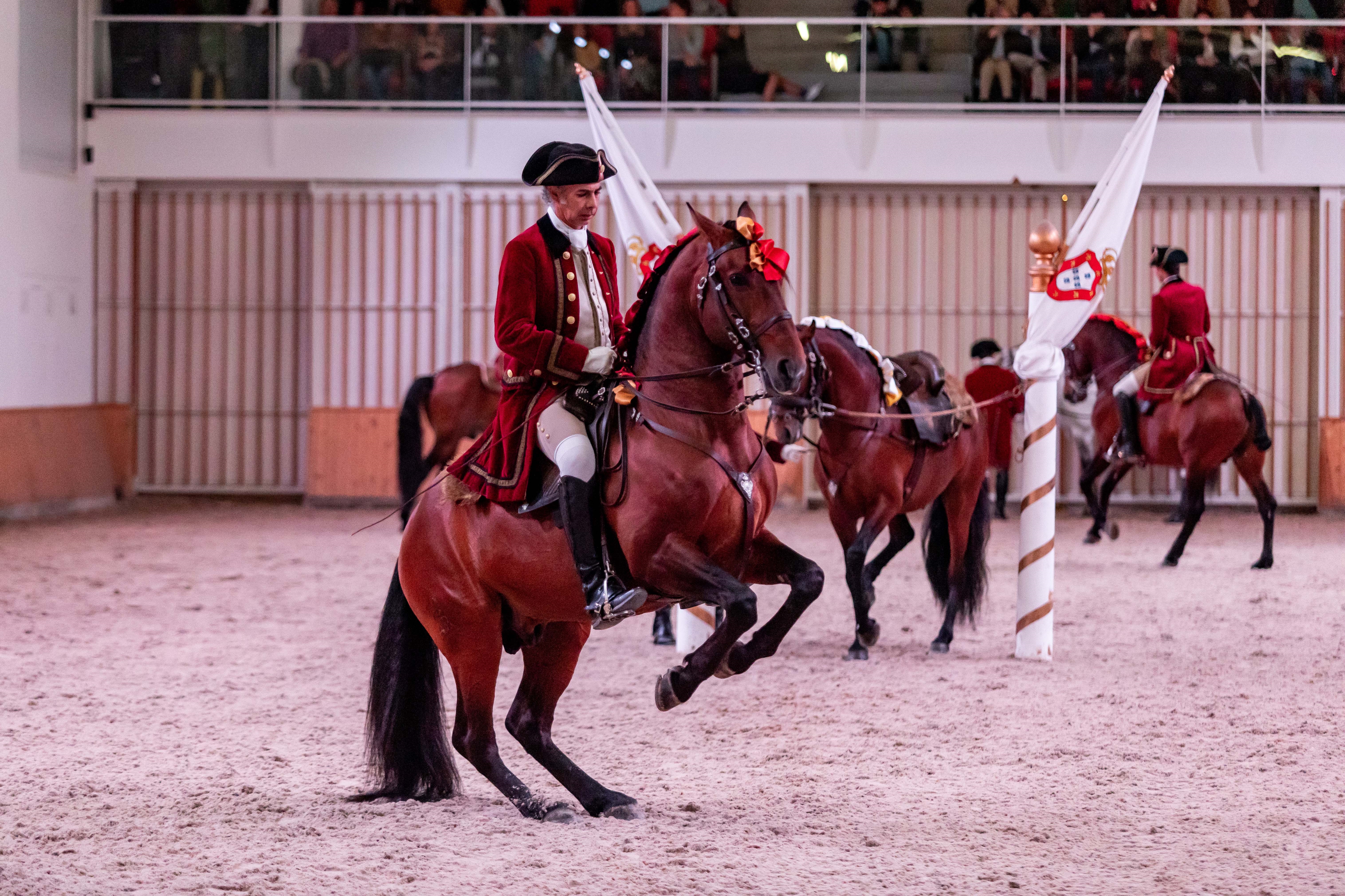 Galas da Escola Portuguesa de Arte Equestre