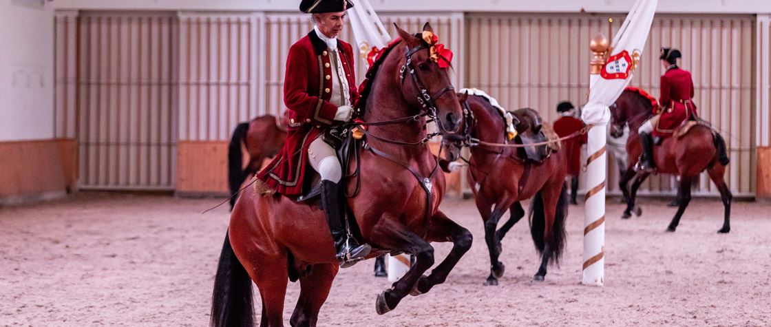 Gala Equestre de Ano Novo