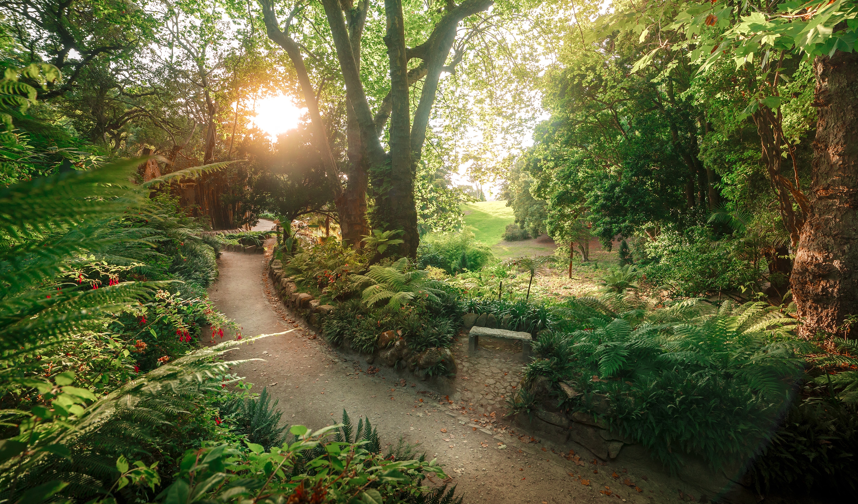 Homero, Steinbeck e os morcegos-vampiro: uma visão biológica dos clássicos da literatura