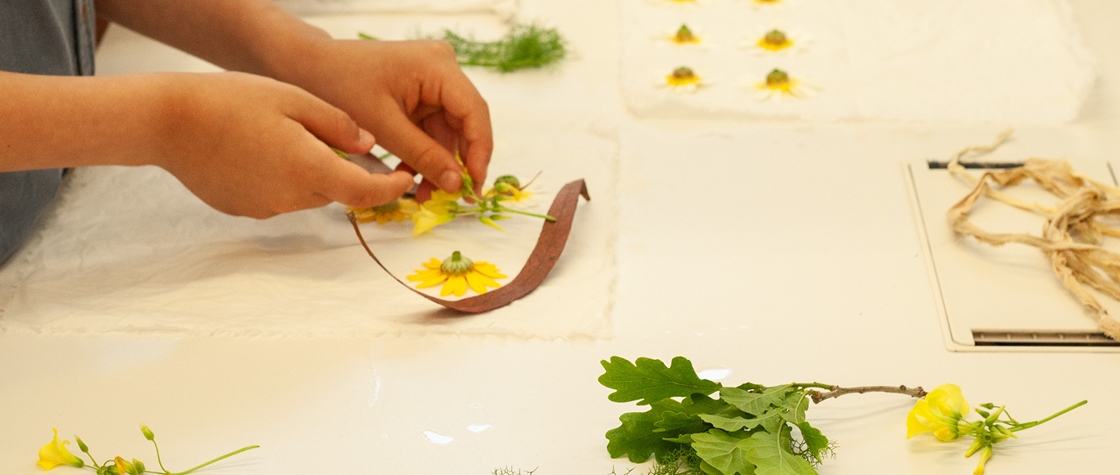 Histórias das Plantas: passeio e oficina de impressão botânica