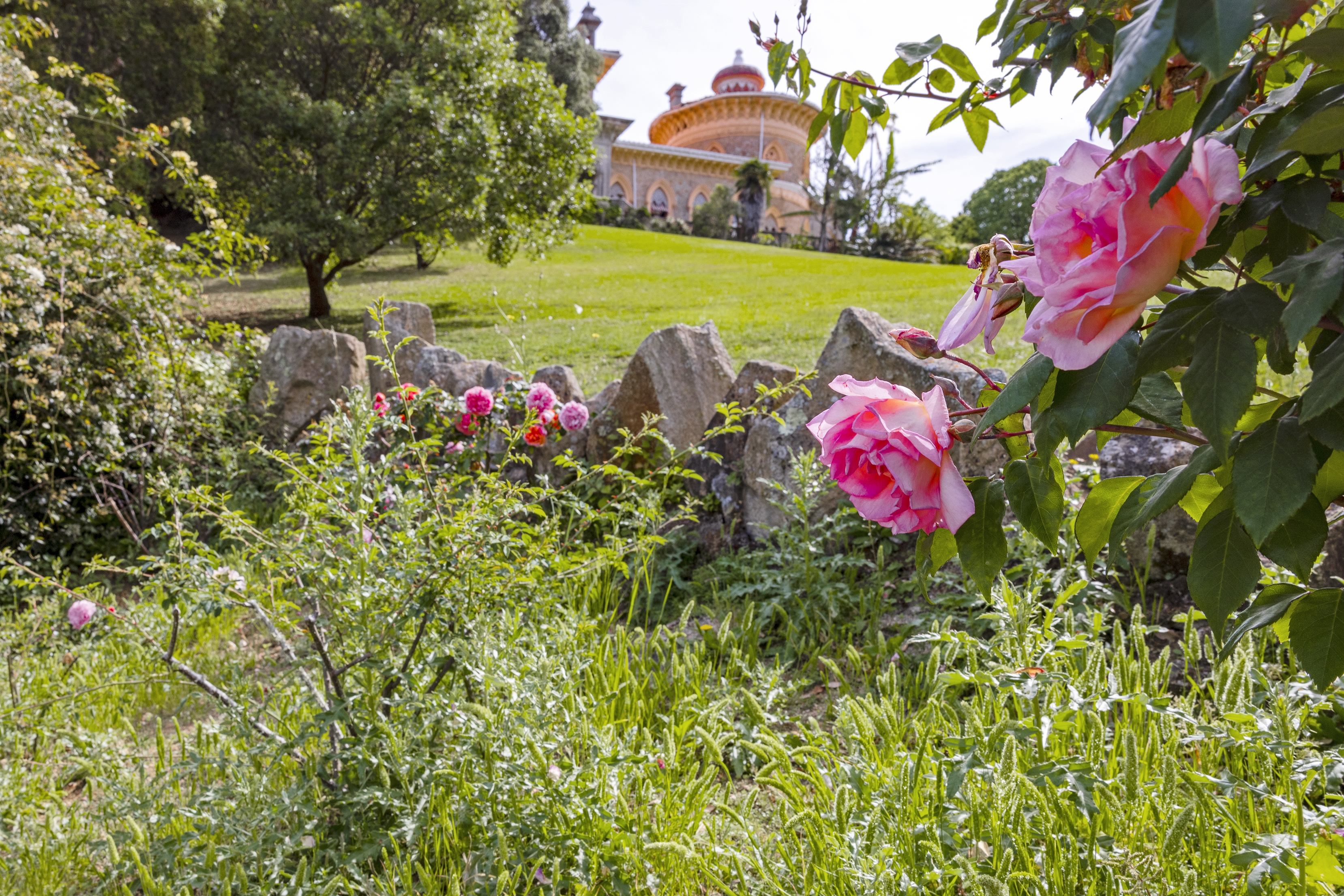 Vivaldi to the Sounds of Monserrate