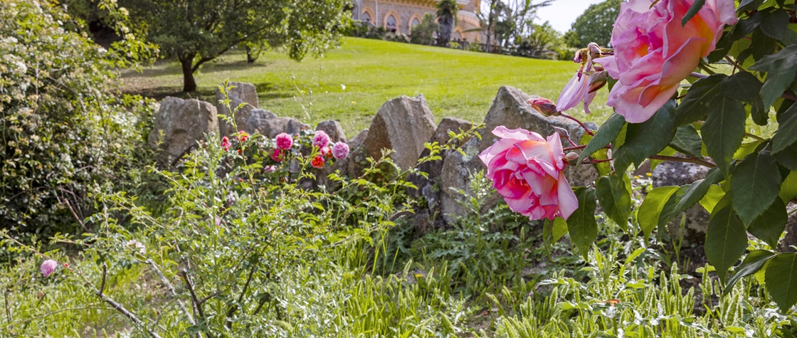 Vivaldi ao Som de Monserrate