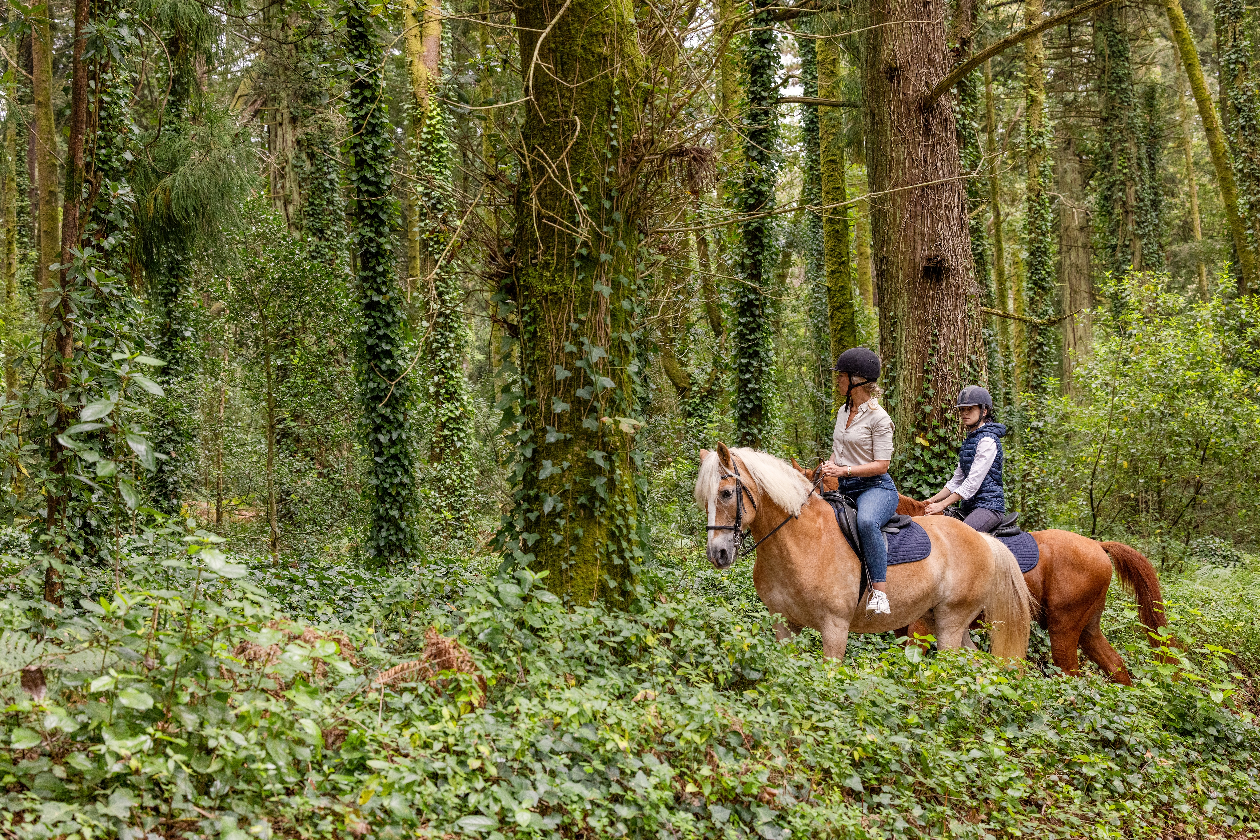 Passeios de Pónei ou a Cavalo