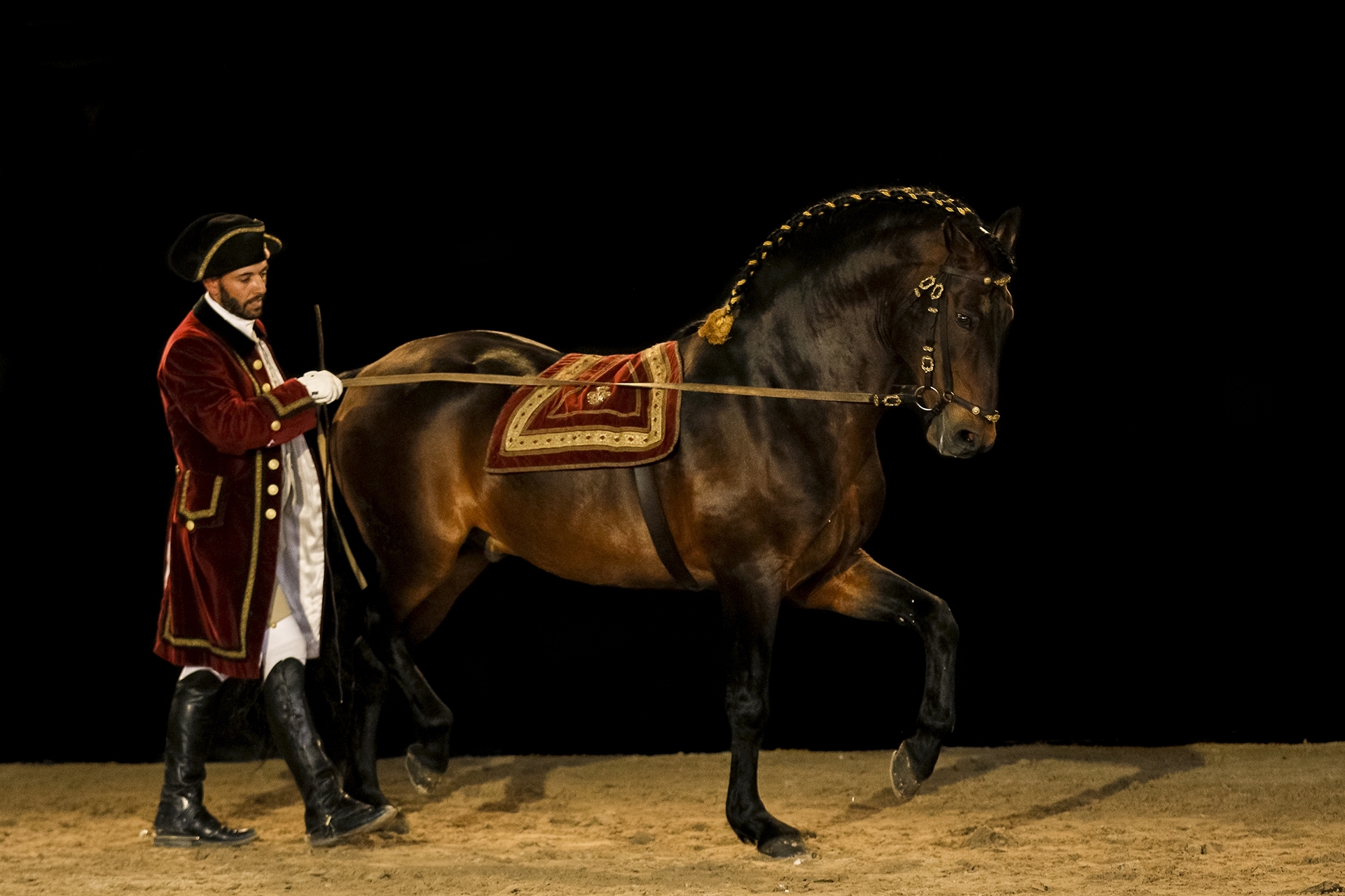 Portuguese School of Equestrian Art