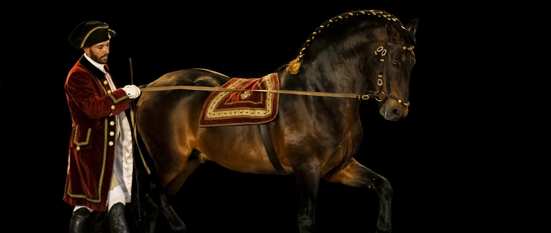 Escola Portuguesa de Arte Equestre