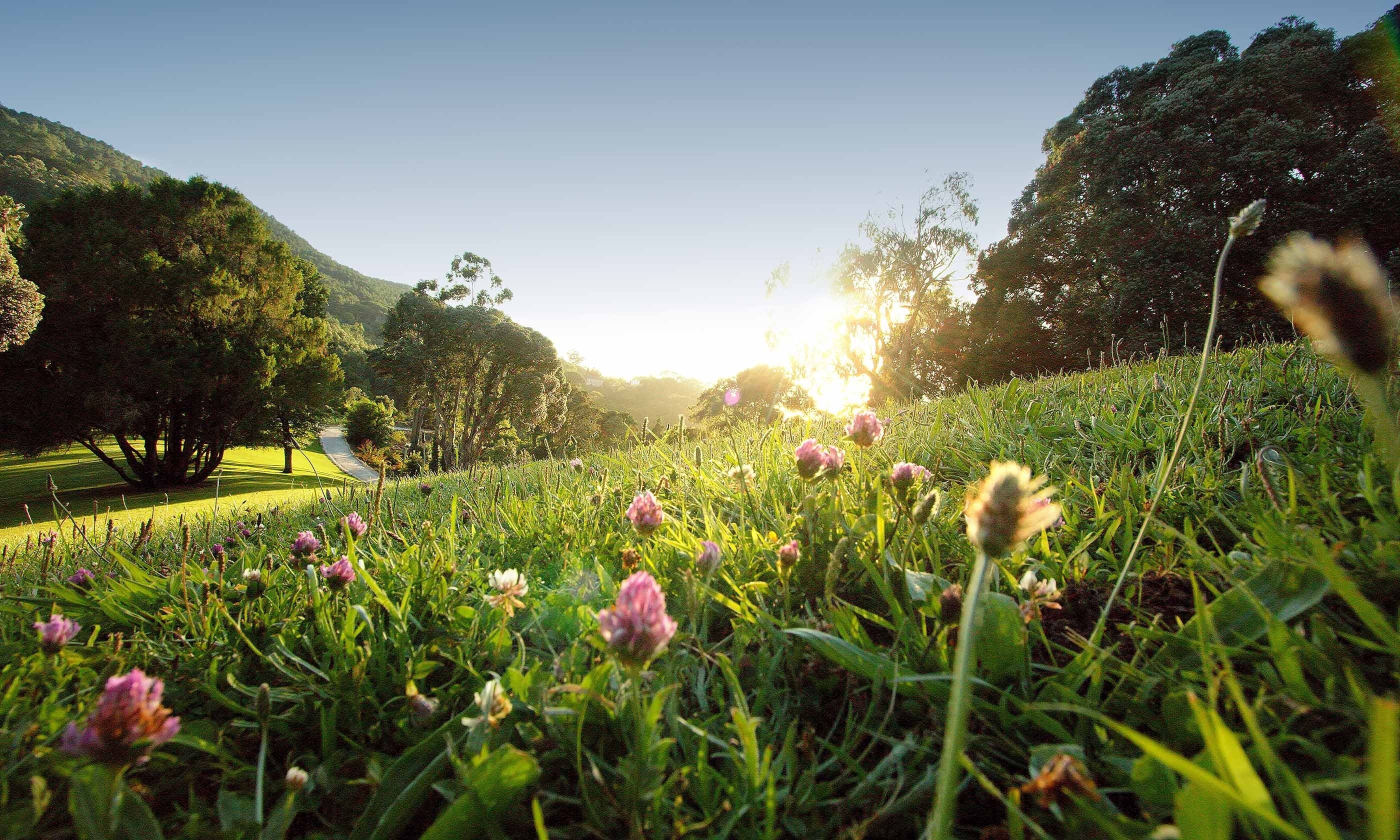 Vivaldi ao Som de Monserrate