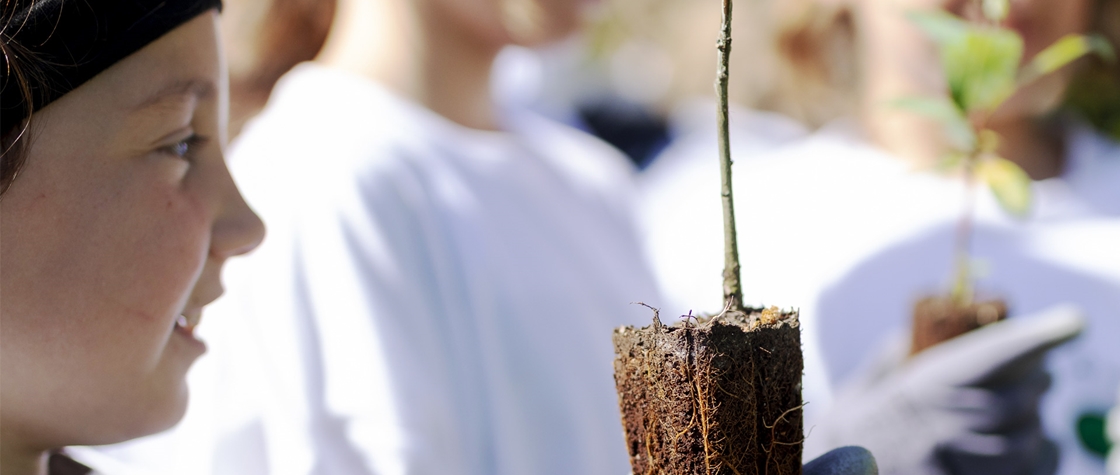 Contribuição voluntária para projetos de restauro ecológico