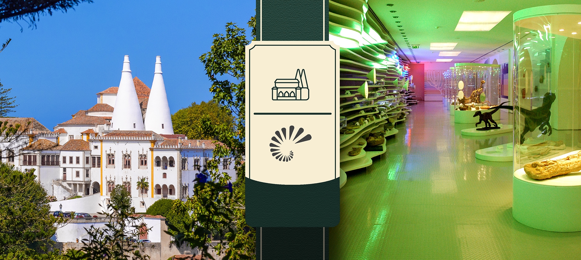 Palácio Nacional de Sintra + Museu de História Natural de Sintra