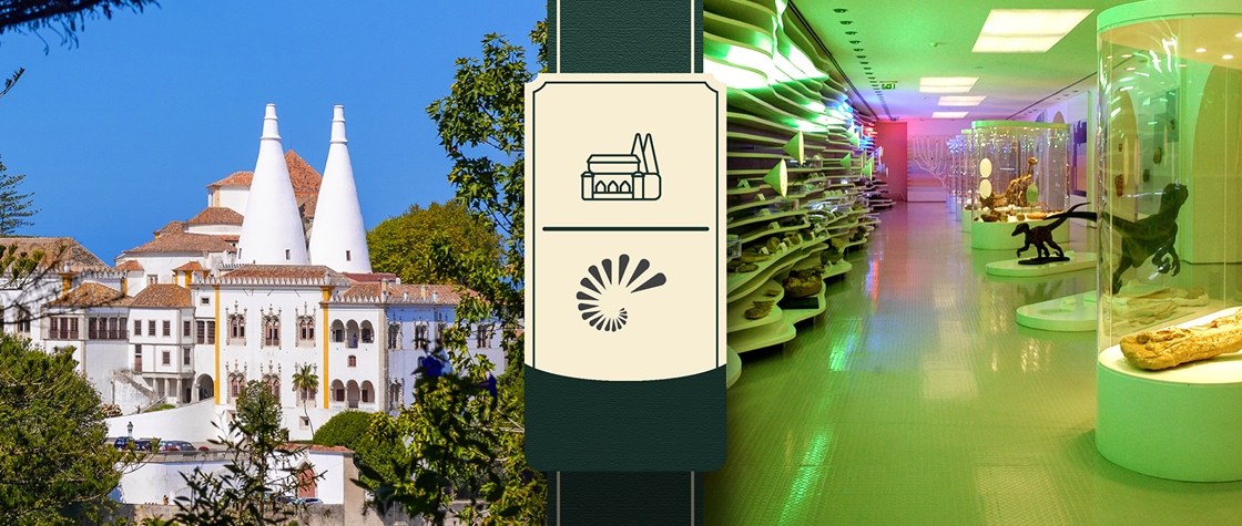 Palácio Nacional de Sintra + Museu de História Natural de Sintra