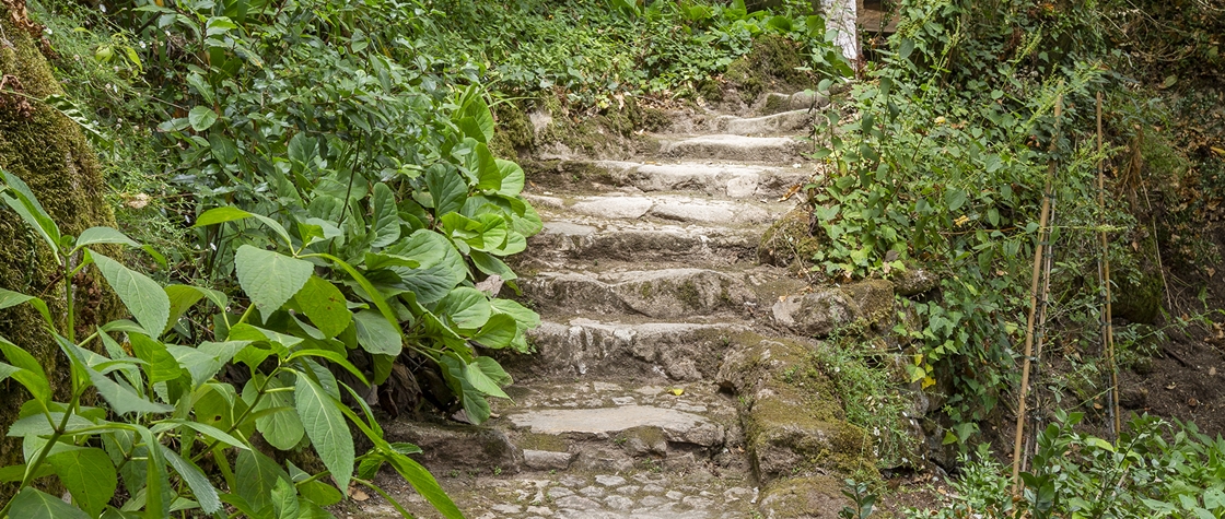 Pelos passos de S. Francisco, oito séculos depois