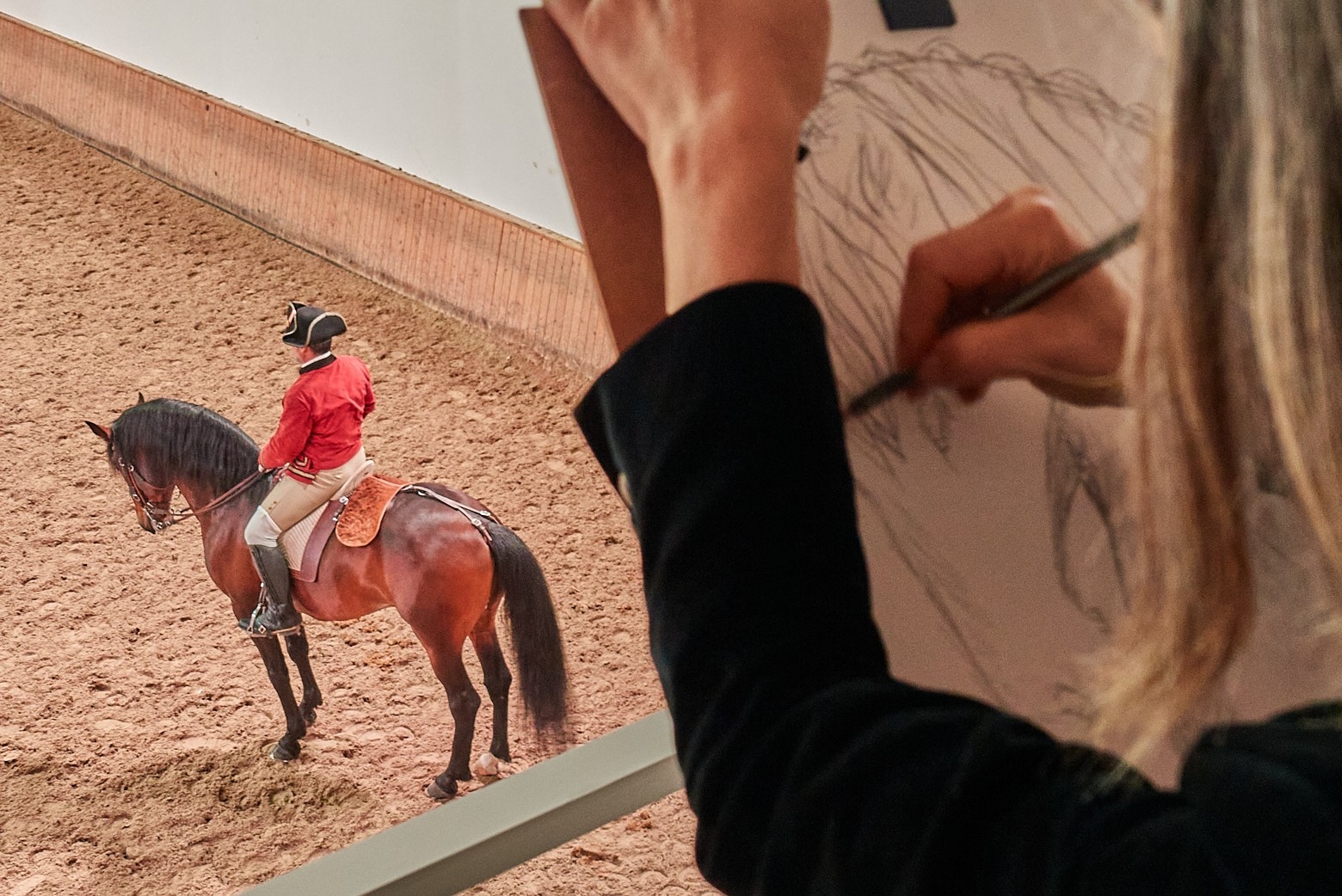 O cavalo em observação: desenho, movimento e arte equestre portuguesa