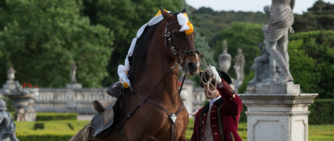 Marialva Tradition: Training the Horse at the Portuguese School of Equestrian Art